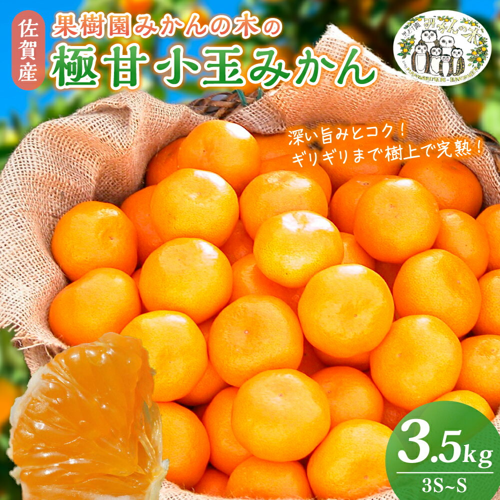 【ふるさと納税】 L-48 果樹園みかんの木の極甘小玉みかん 3.5kg みかん ミカン 蜜柑 温州みかん 完熟みかん 甘熟 柑橘 有機栽培 国産 佐賀県産 太良町 こだわり 贈答品 産地直送 詰め合わせ 小玉