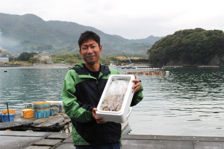 [037007]チャンバラ貝　5kg 