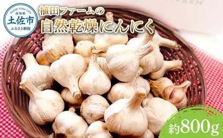 植田ファームの自然乾燥平戸にんにく700g 〈2026年6月10日〜2026年10月31日〉 高知県 土佐市【株式会社植田ファーム】[BQAT004]