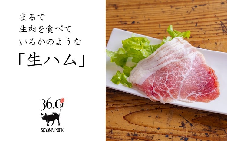 
            ソヤマポークの生ハム堪能セット[ロース バラ モモ パンチェッタ 肩ロース 熟成 おつまみ パーティー]TF864-P00078
          