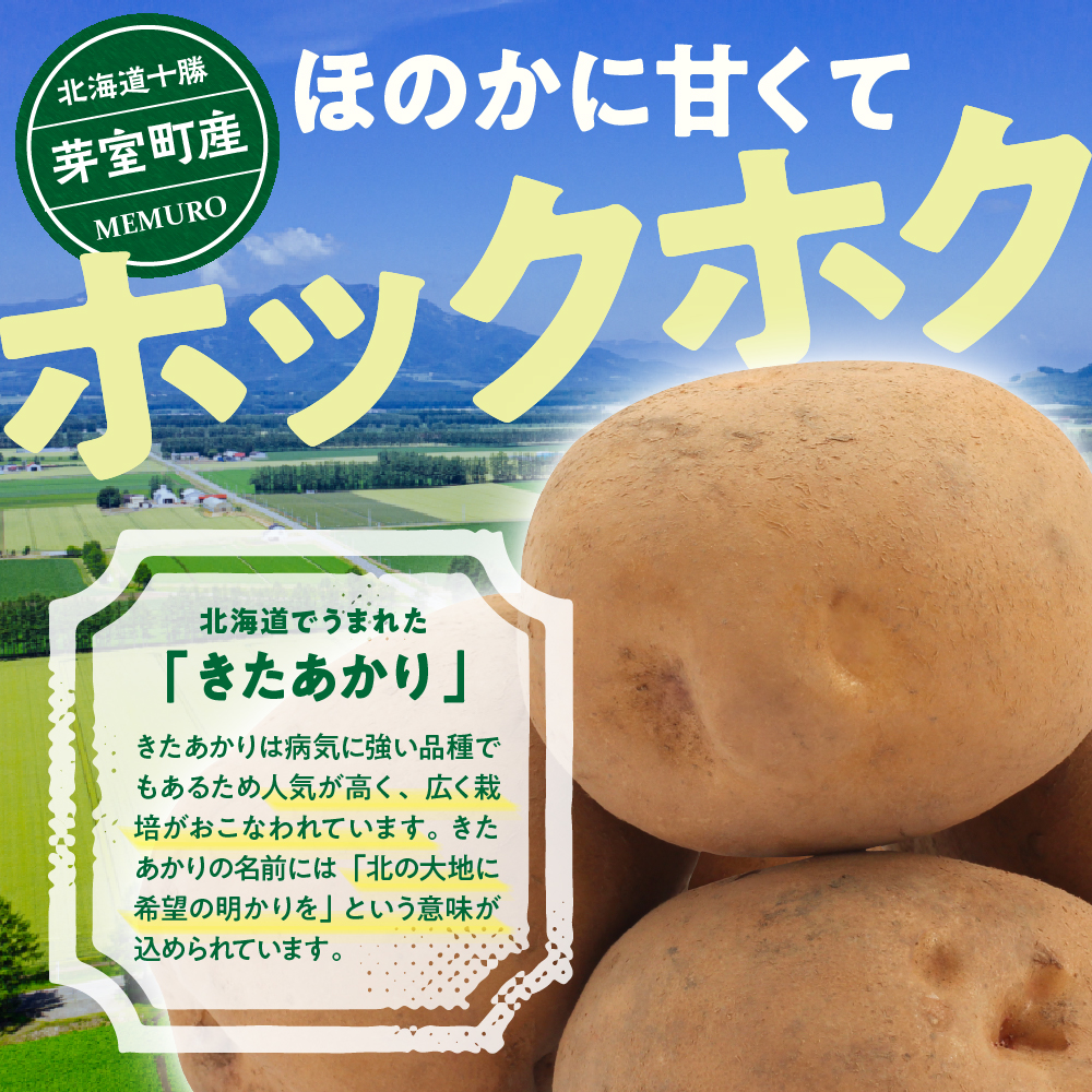 【先行受付】【2026年9月下旬より配送予定】北海道十勝芽室町 きたあかり5kg me002-003-26c