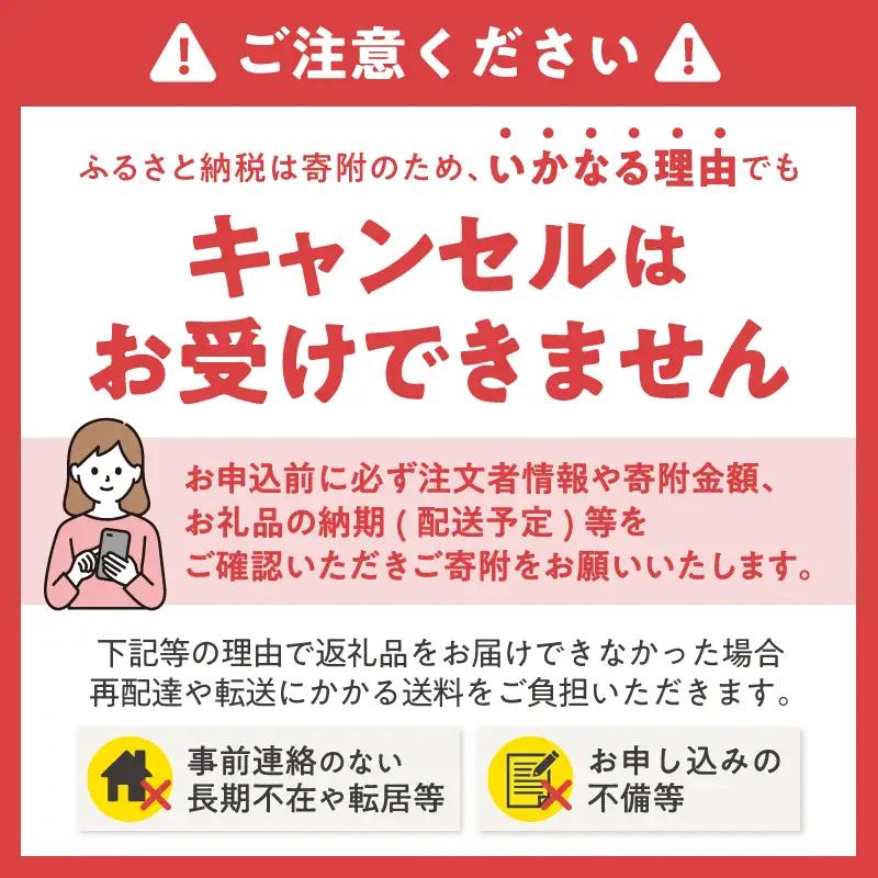 大容量 コンパクト ソフトパック ティッシュ スマートスタイル 200W10P フィルム包装 省スペース 箱なし シック 安心 日本製 100％パルプ 日用品 生活用品 防災 備蓄 富士市 [sf00