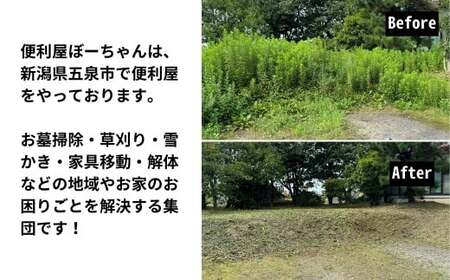 草刈り＆見守り訪問サービス 1回 五泉市内限定 | 草刈り くさ刈り 代行 サービス 家族 実家 親 見守り 訪問 新潟県 五泉市 便利屋ぼーちゃん