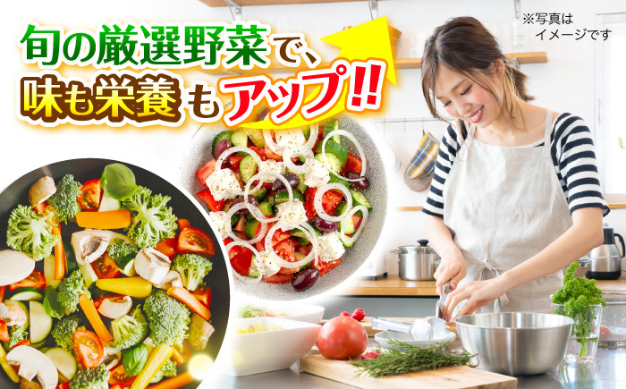 贈答 ギフト 特産品 新鮮 旬の野菜 お野菜