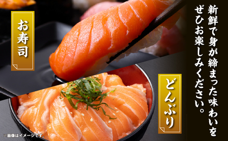 北海桜サーモン 1本活締め 2~3kg 新鮮 刺身 冷蔵 陸上養殖 生食可 桜色 トラウト サーモン 鮭 生鮭 サケ さけ 一本 1匹 一匹 姿 まるごと 国産 北海道産 道産 松前産 産地直送 お取