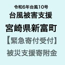 【ふるさと納税】【令和6年台風10号被害支援緊急寄附受付】宮崎県新富町災害応援寄附金（返礼品はありません）