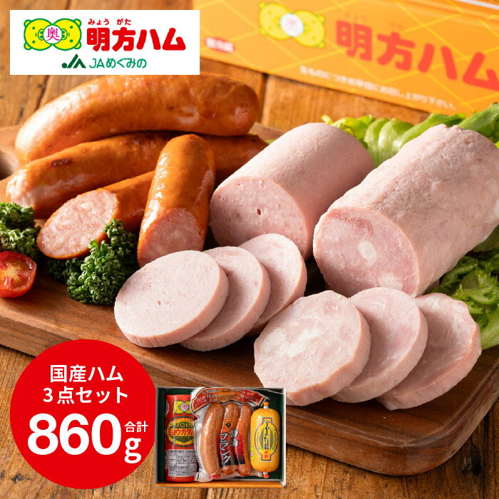 【ふるさと納税】 ハム ソーセージ 詰め合わせ 明方ハム Aセット 計860g ボロニアソーセージ 醤油フランク フランクフルトソーセージ ウインナー おつまみ 肉 国産豚肉 伝統製法