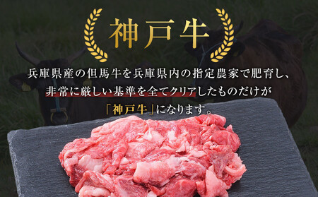 ＜お試し用＞＜神戸牛＞切り落とし　400g(200g×2P)