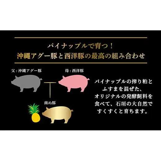 石垣島産 やえやまファームのアグ―豚（南ぬ豚）ハンバーグ10個セット 　E-8-1