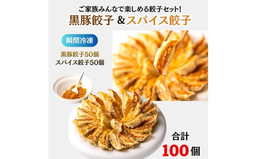 【瞬間生冷凍】スパイスと黒豚餃子 50個×2セット      [№5385-1228]