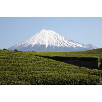 ふるさと納税 沼津市 静岡銘茶 6種飲み比べ |  | 01