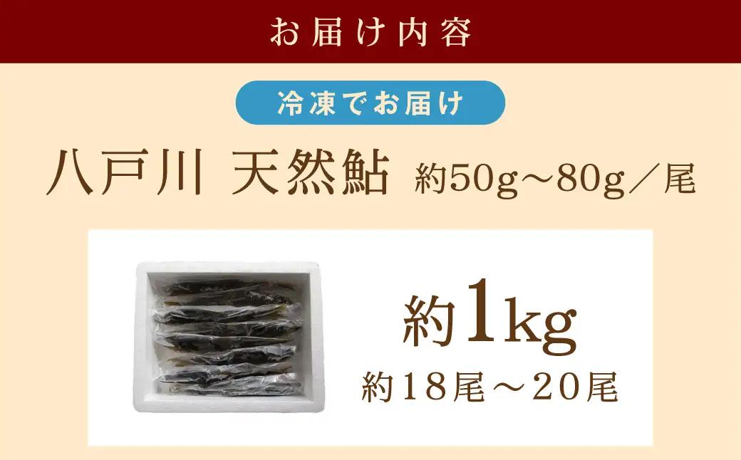 【先行予約】八戸川 天然鮎（1kg）＜2026年6月10日よりお届け＞【192_2002】