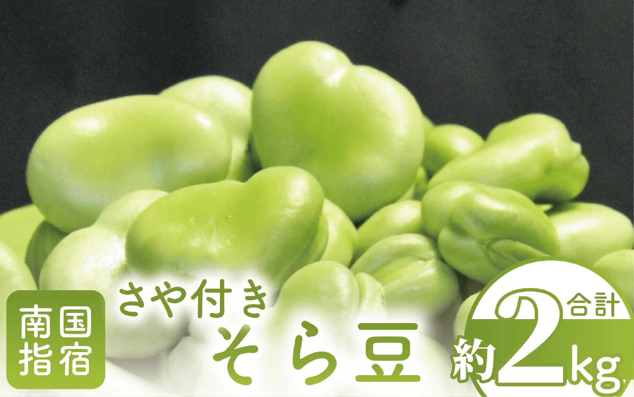 【2026年1月中旬～発送】さや付きそら豆約2kg～冬～(アグリスタイル/A-206) 野菜 そらまめ ソラマメ サラダ 旬 冬 おつまみ