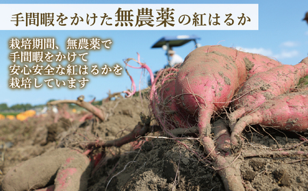 新地町産紅はるか干し芋(皮つき150g)×1袋　干し芋 ほしいも 干しいも 紅はるか　平干し