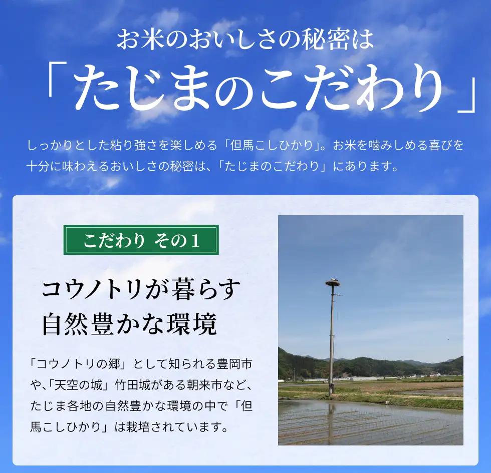 令和7年産 但馬産 コシヒカリ 特Aランク 5kg / 兵庫県産 こしひかり 産地直送 新鮮 お米 米 精米 白米 コメ こめ ご飯 ごはん ライス 送料無料 おにぎり お弁当 和食 洋食 コウノトリ