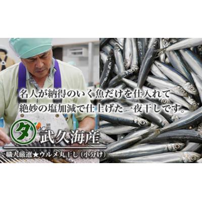 ふるさと納税 愛南町 訳あり 魚の 丸干し & 開き おまかせ セット 2.5kg 株式会社武久海産 |  | 01