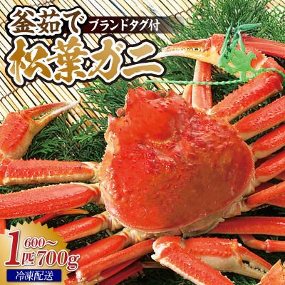 ふるさと納税 香美町 松葉がに 釜茹で 冷凍 兵庫県香住産 約600〜700g×1匹 【2026年11月中旬以降順次発送】