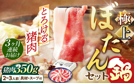 猪肉 【3回定期便】ぼたん鍋 2-3人前 猪肉350g [ANCJ007] 猪肉