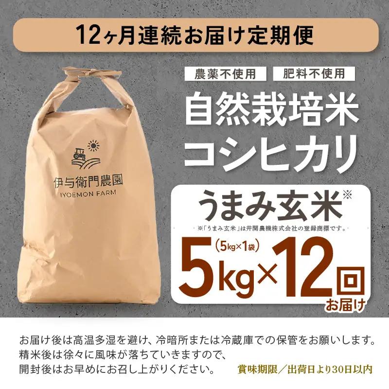 【先行予約】【令和8年産】定期便 ≪12ヶ月連続お届け≫ 自然栽培米コシヒカリ うまみ玄米5kg×12回（計60kg） 化学肥料不使用  ＜温度と湿度を常時管理し新鮮米を出荷！＞／ 高品質 鮮度抜群 