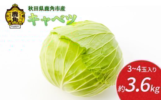 《 先行予約 》 秋田県鹿角産 キャベツ 約3.6kg（3～4玉入）●2025年12月上旬発送開始【恋する鹿角カンパニー】新鮮 旬 産地直送 安全 甘い 採れたて 国産野菜 お取り寄せ グルメ ギフト お中元 お歳暮 秋田 あきた 鹿角市 鹿角 秋田県 鹿角産 送料無料