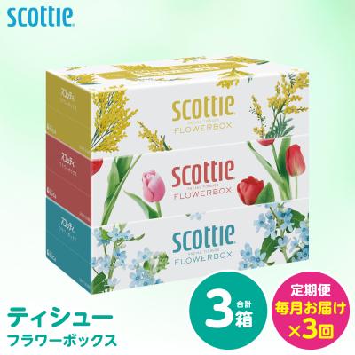 ふるさと納税 八代市 【毎月定期便】 ティッシュ 250組 3箱 日用品 スコッティ 全3回_186-6711