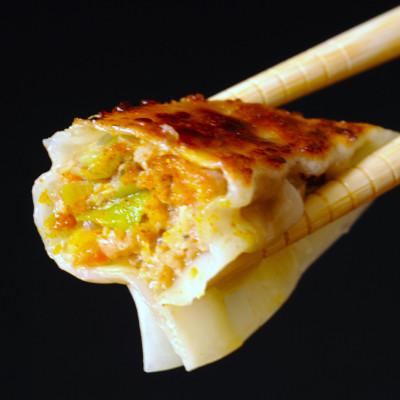 ふるさと納税 八雲町 スパイシーカレー餃子(10個×4箱)