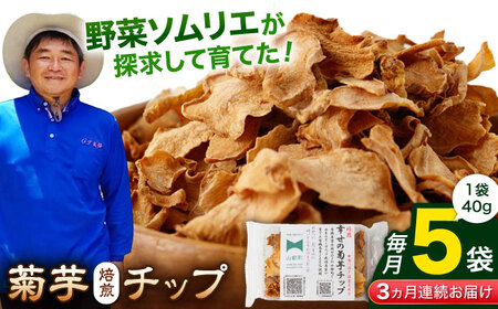 【全3回定期便】【数量限定】菊芋 焙煎 チップ 200g (40g×5)【グリーンファーム矢部】 [YDC011]