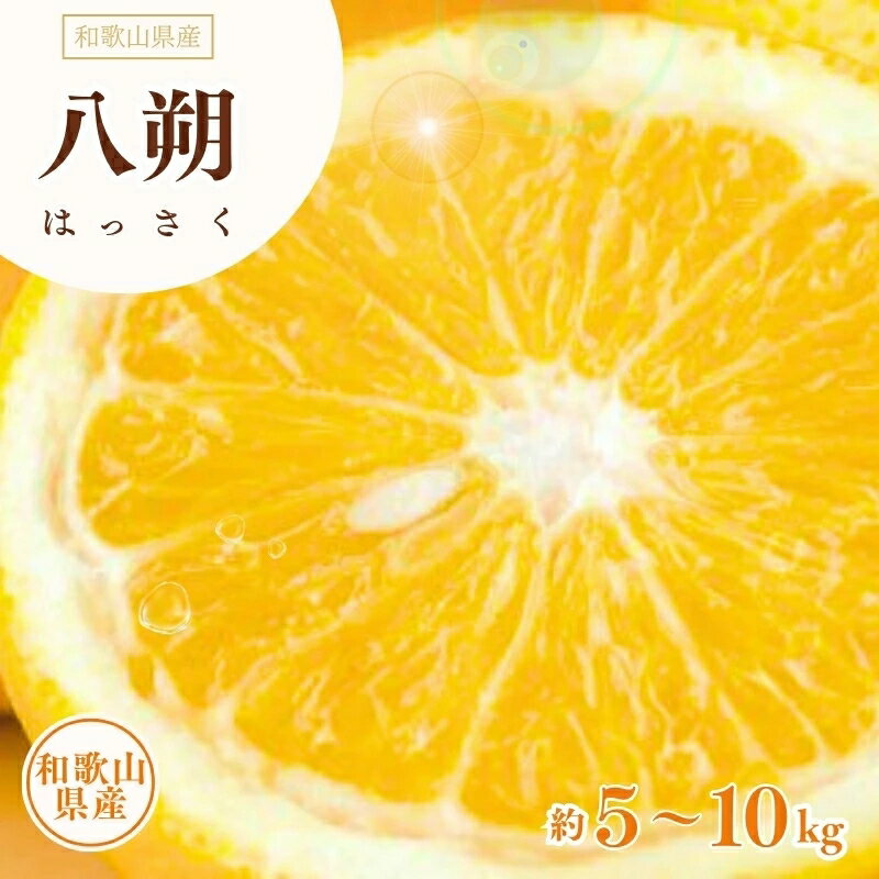 【ふるさと納税】 八朔 5kg 10kg (サイズおまかせ) / はっさく みかん 柑橘 果物 湯浅町 田村産 ※1月下旬～4月上旬頃に順次発送予定 //hassaku