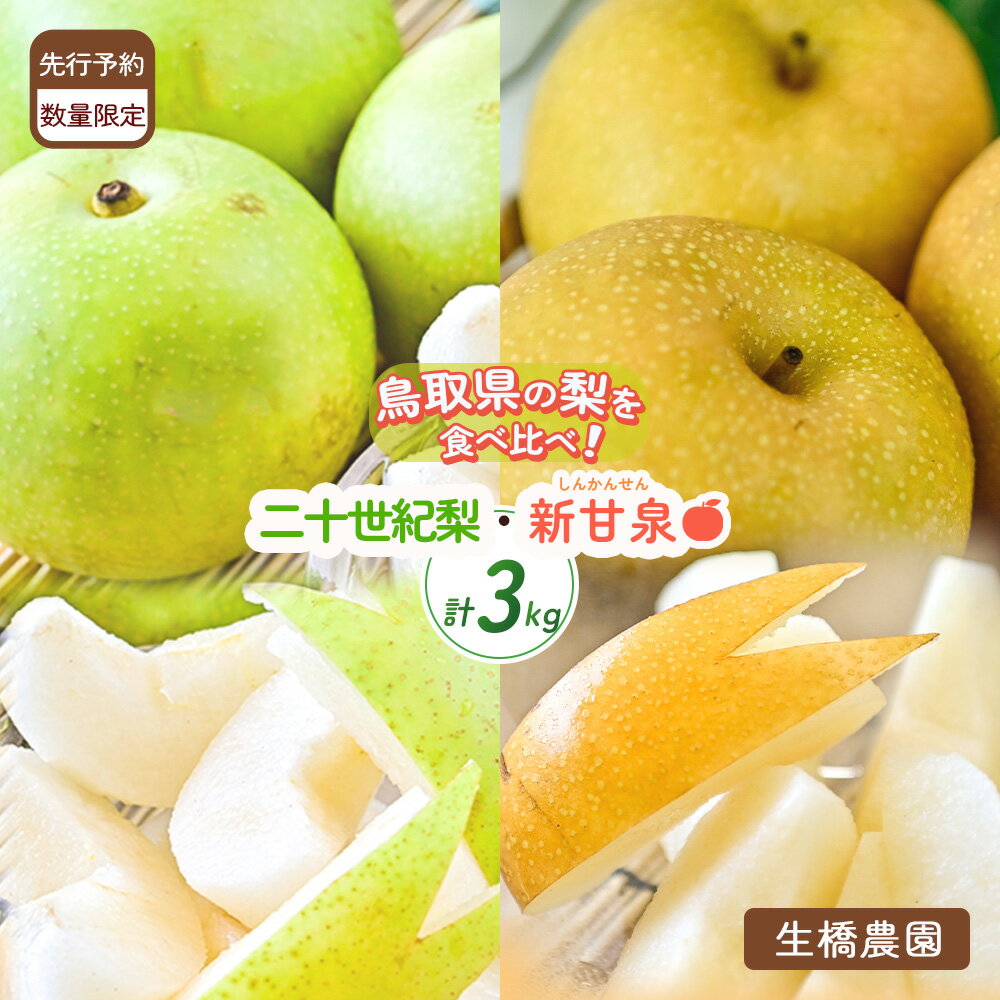 【ふるさと納税】 先行予約 新甘泉 と 二十世紀梨 の 食べ比べ セット 3kg 鳥取県産 (生橋農園) 鳥取 梨 果物 フルーツ 和梨 数量限定 詰め合わせ 新甘泉 二十世紀梨 20世紀梨