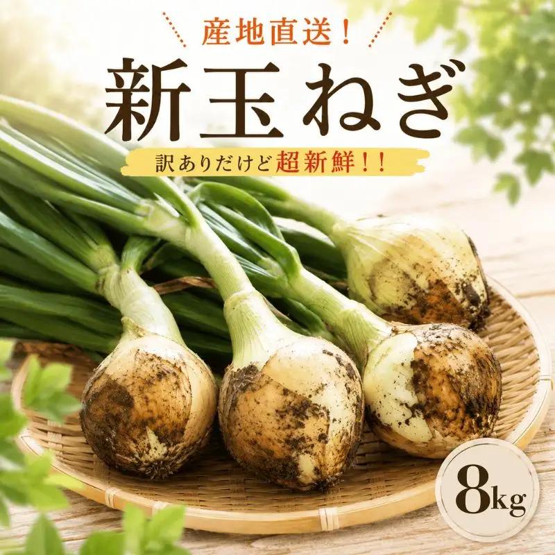 新玉ねぎ 8kg むぎとのやさい 新玉ねぎ【先行受付】