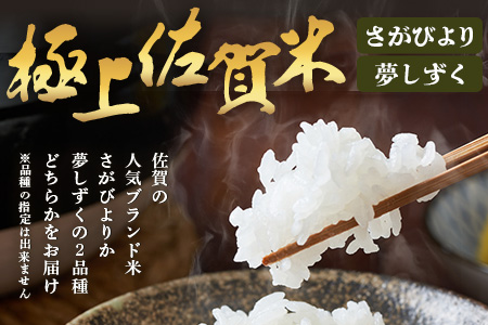 令和7年産 鹿島市産 [さがびよりor夢しずく] 10kg 1袋 【品種指定不可】 玄米 精米  E-179
