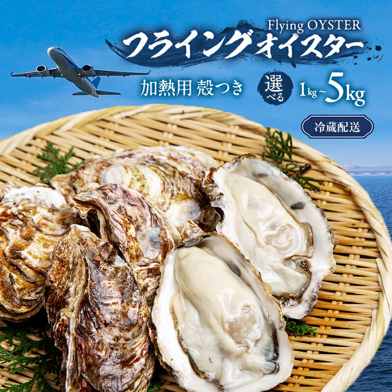 【ふるさと納税】【先行予約】牡蠣 殻付き 生牡蠣 カンカン焼き カキ かき 選べる 1kg ～ 5kg 加熱用 ガンガン焼き BBQ バーベキュー 鍋 魚介類 産地直送 フライングオイスター 調理方法付 岸和田市　お届け：2027年2月下旬～4月中旬