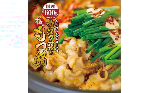 国産牛 贅沢 2種 の もつ鍋 (チゲ鍋) キムチ付 セット 4人前 5人前 牛モツ 合計600g マルチョウ 300g テッチャン 300g もつ鍋セット ホルモン鍋 ホルモン 牛ホルモン ちげ鍋 鍋セット