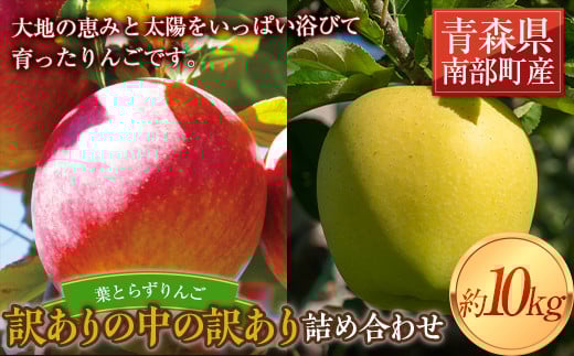 《訳ありの中の訳あり》 葉とらずりんご詰め合わせ 約10kg 【四戸農園】 減農薬 有機肥料 青森りんご リンゴ 林檎 アップル あおもり 青森 青森県 南部町 果物 くだもの フルーツ 訳あり 訳ア