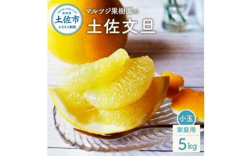 【先行予約】マルツジ果樹園の土佐文旦 家庭用 小玉（M～Lサイズ）約5kg（12～17個入り） 文旦 ぶんたん 土佐 柑橘 高知県産 フルーツ お取り寄せ 先行予約 高知県 土佐市【マルツジ果樹園】[BQAN009]