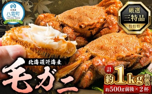 
            先行予約【厳選三特品】北海道近海産毛ガニ500g前後×2尾 2025年9月上旬発送開始予定【 毛がに 北海道 かに 蟹 かにみそ 小分け 毛蟹 八雲 海産物 魚介類 水産物応援 水産物支援 】
          