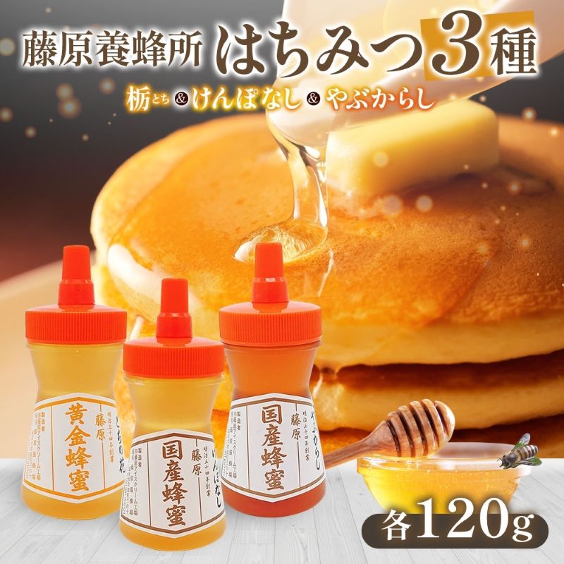 【ふるさと納税】 はちみつ 栃 けんぽなし やぶからし 3種セット 各120g 計360g 藤原黄金蜂蜜 藤原国産蜂蜜 食べ比べ 国産はちみつ 天然 無添加 とち 岩手県 盛岡市 東北 岩手 盛岡 藤原養蜂場