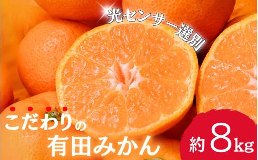 早期先行予約！  こだわりの有田みかん 約8kg＋250g(傷み補償分) 【ご家庭用】【11月発送】 光センサー選別品 農家直送品 ※北海道・沖縄・離島配送不可 / みかん 有田みかん 温州みかん 柑橘 果物 くだもの フルーツ 有田 和歌山 和歌山県産 産地直送 【nuk100-11】 
