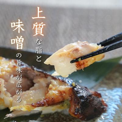 ふるさと納税 焼津市 【定期便3回】銀鱈西京漬け 約80g×10切れ 銀だら 銀ダラ(a36-011) |  | 01