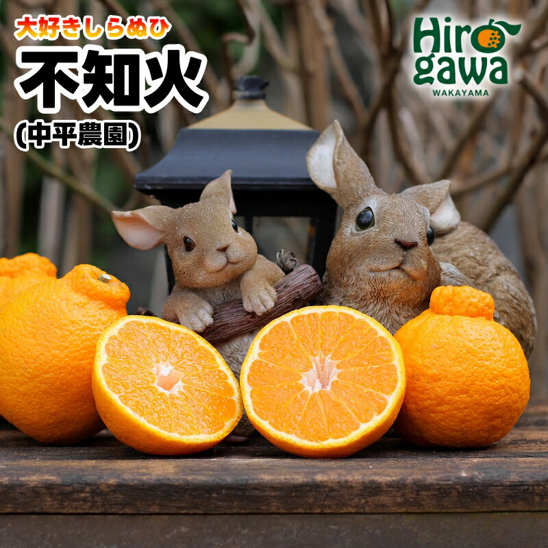 【ふるさと納税】 デコポン と同品種の 不知火 家庭用 3kg 10000円 (大好き しらぬい )　※2月中旬～3月下旬に順次発送 / 春 みかん 産地直送 農家直送 手選果 //dekopon