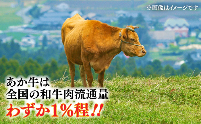 【全3回定期便】くまモンハンバーグセット（あか牛100％使用） / 菊陽町 あかうし 熊本県 肉 にく niku ブランド 旨み【有限会社　三協畜産】 [BHAS057]