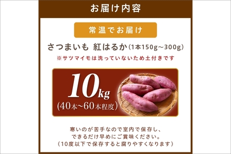 さつまいもオブザイヤー紅はるか部門全国1位 京都・ 丹後産　さつまいも 紅はるか　土付き（1本150?300g） 10kg（40～60本程度）