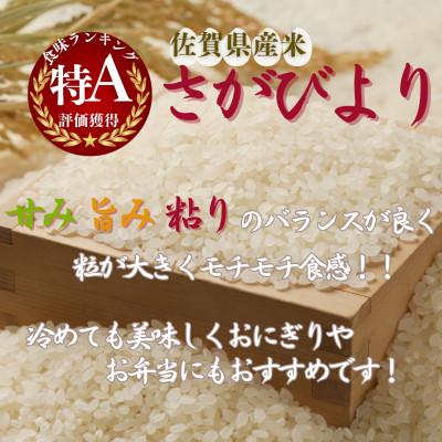 ふるさと納税 伊万里市 令和7年産【無洗米】さがびより 5kg 《マイスターセレクト》 |  | 01
