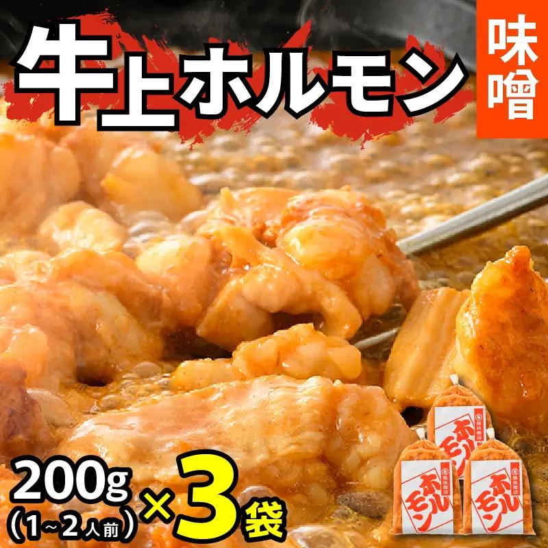 牛味噌 上ホルモン 200g×3袋（1～2人前×3袋） 計600g ＜絶品！炒めるだけ簡単！＞ ／ 価格下げました！ 味付け 肉 焼肉 BBQ バーベキュー もつ ホルモン 小分け おつまみ 冷凍 ア