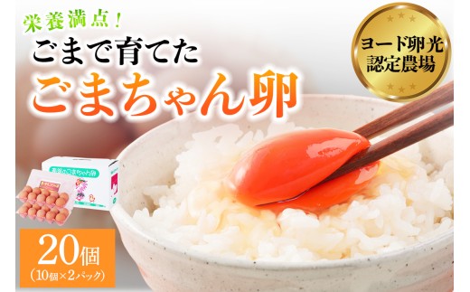 ゴマで育てた「ごまちゃん卵」20個｜栄養満点 赤玉 胡麻 鶏卵 たまご タマゴ ヨード卵光 認定 越川養鶏園 袖ケ浦 房総 千葉 [0712]