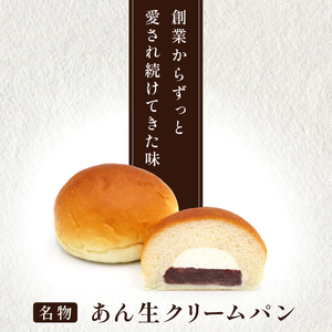 【3か月定期便】あん生クリームパン　ギフトセット12個入り 