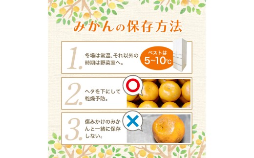 【2026年11月発送予約】 ご家庭用 こだわりの有田みかん 約4kg＋150g(傷み補償分)  光センサー選別 農家直送 / みかん ミカン 有田みかん 温州みかん 柑橘 フルーツ 果物 くだもの 