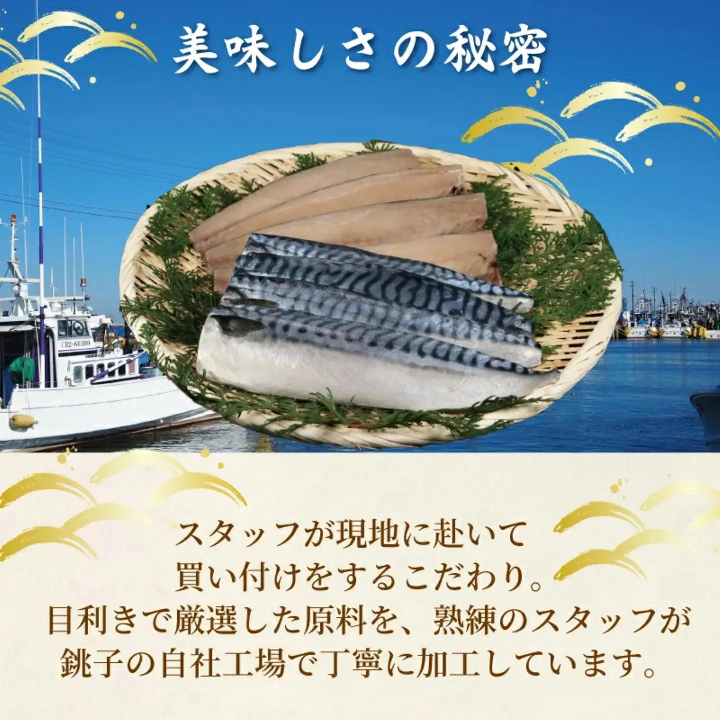 訳あり 塩鯖 1kg 鯖
