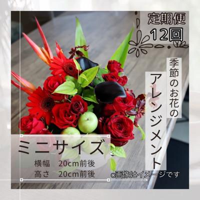 ふるさと納税 筑西市 【毎月定期便】季節のお花のアレンジメント/ミニサイズ〜届いてそのまま飾れるフラワーアレンジ全12回