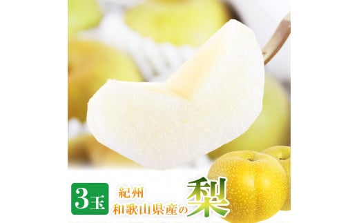 【先行予約】紀州和歌山産の梨 3玉 化粧箱入 ※2026年8月中旬頃〜2026年9月上旬頃に順次発送 ※日付指定不可 梨 なし ナシ 果物 くだもの フルーツ 甘い【uot787】
